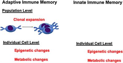 Myeloid Cell-Mediated Trained Innate Immunity in Mucosal AIDS Vaccine Development